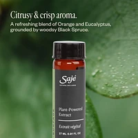 Multi-Surface Cleaning Refill