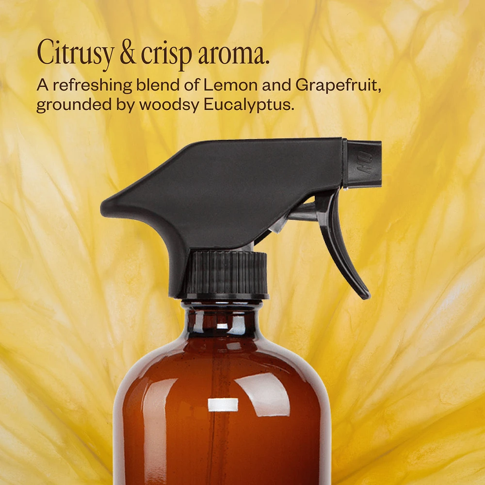 Multi-Surface Cleaning Kit
