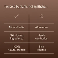 Natural Deodorant Duo