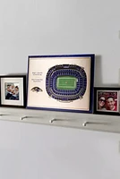 NFL STADIUM VIEW 3D RAVENS WALL ART (5 LAYER)