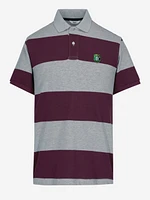 Polo de Rayas