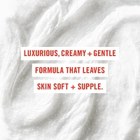 Pure Skin Face Cleanser – Gentle Hydrating