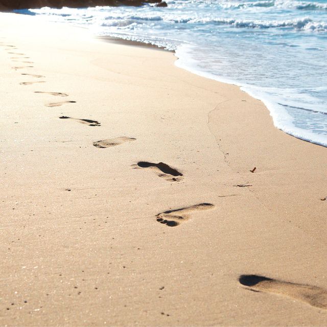 ’REPLICA’ Beach Walk