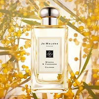 Mimosa & Cardamom Cologne