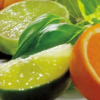 Lime Basil & Mandarin Body Crème