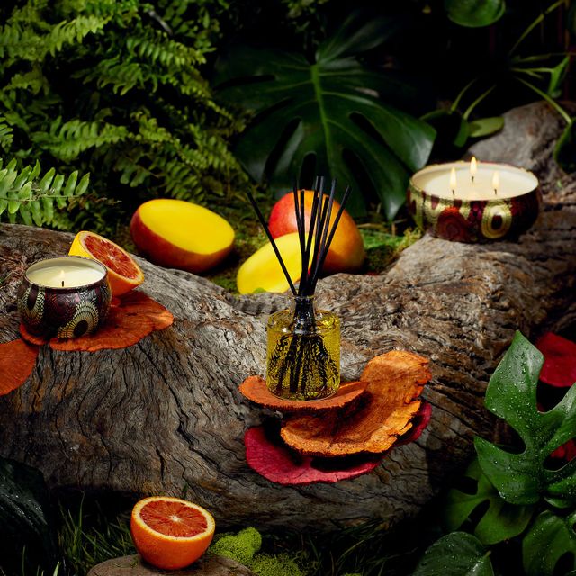 Goji & Tarocco Orange Decorative Tin Candle