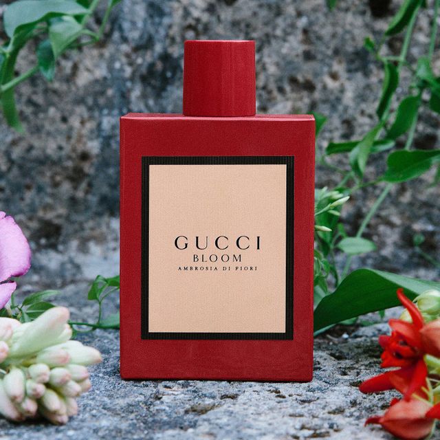 Gucci Bloom Ambrosia di Fiori Eau de Parfum Intense For Her