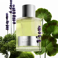 Beau de Jour Eau de Parfum Fragrance