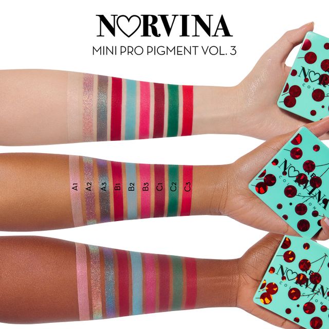 Norvina® Mini Pro Pigment Palette Vol. 3 for Face & Body