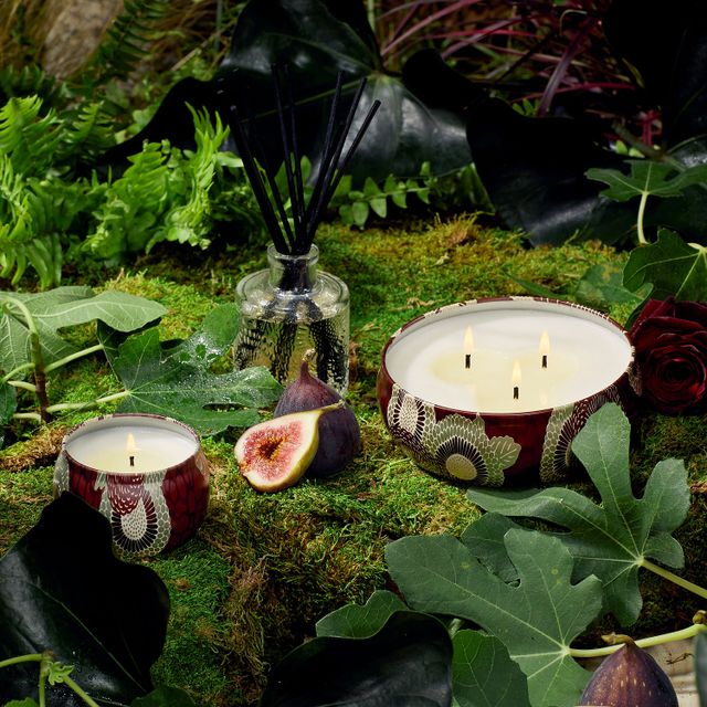 Mini Forbidden Fig Decorative Tin Candle