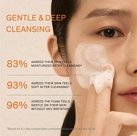 Gentle Cleansing Foam