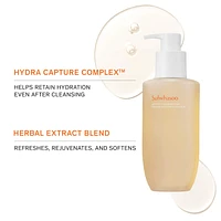 Gentle Cleansing Foam