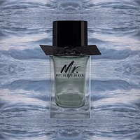Mr. Burberry Eau de Toilette with Grapefruit and Vetiver