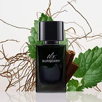 Mr. Burberry Eau de Parfum with Patchouli and Vetiver 