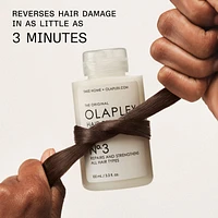 No. 3 Hair Perfector Pre-Shampoo Repair Treatment