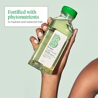 Superfoods Matcha + Apple Replenishing Shampoo