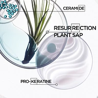 Resistance Strengthening Shampoo for Damaged Hair from Heat Styling