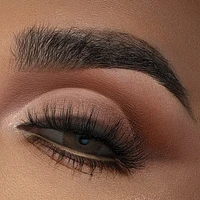 Midnight Maven Eyeshadow Palette
