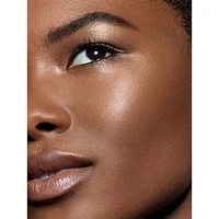 Sublime Perfection Concealer