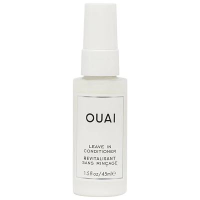 Detangling and Frizz Fighting Leave Conditioner