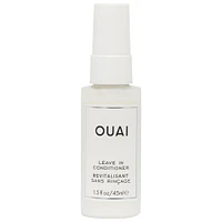 Detangling and Frizz Fighting Leave Conditioner