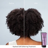 Hydrate Soft Softening Treatment Hair Mask
