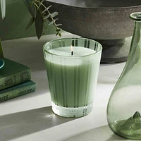 Wild Mint & Eucalyptus Candle