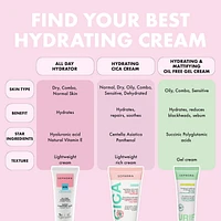All Day Hydrator Hyaluronic Acid Moisturizer 