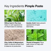 Pimple Paste Overnight Blemish Spot Treatment