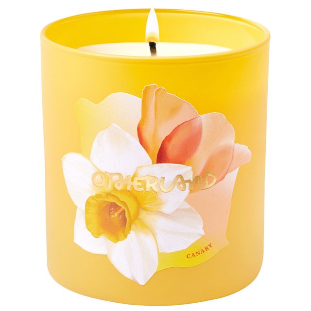 Canary Narcissus Vegan Candle