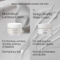Mochi Mochi Luminous Plumping & Hydrating Moisturizer