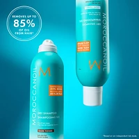 Dry Shampoo Light Tones