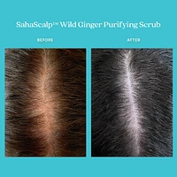 SahaScalp Wild Ginger Purifying Scrub