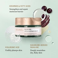Omega Repair Deep Hydration Moisturizer with Ceramides and Hyaluronic Acid + Squalane