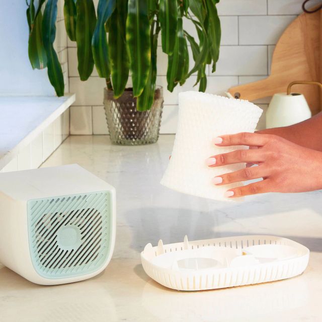 Canopy Humidifier for Skin Hydration