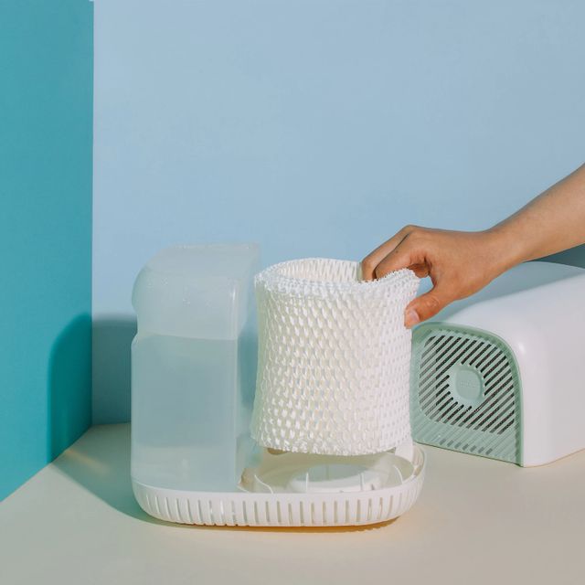 Canopy Humidifier for Skin Hydration