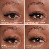 Brow Genius® Conditioning Serum