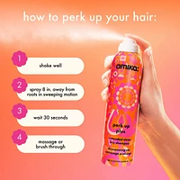 Mini Perk Up Plus Extended Clean Dry Shampoo