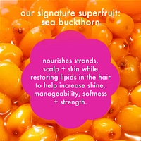 Hydro Rush Intense Moisture Shampoo with Hyaluronic Acid