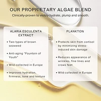 Chia + Moringa® Algae Enzyme Cleansing Oil