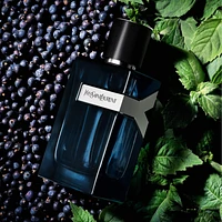 Y Eau de Parfum Intense with Spicy Juniper Berries & Fresh Lavender