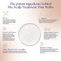 The Hair Treatment System