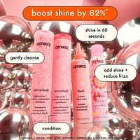 Mirrorball High Shine + Protect Antioxidant Conditioner