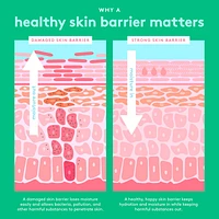 Bora Barrier Rich Repair Refillable Cream with 6-Butterlipid Complex