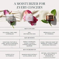 Black Tea Anti-Aging Moisturizer with Retinol-Alternative BT Matrix