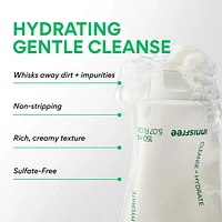 Sulfate-Free Green Tea Amino Acid Cleansing Foam