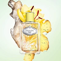 Infusion Gingembre Eau de Parfum with Ginger & Vetiver
