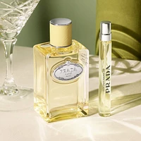 Infusion Gingembre Eau de Parfum with Ginger & Vetiver