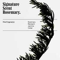 Rosemary Shampoo For Thinning Hair