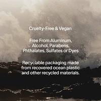 Santal & Vetiver Extra-Strength Aluminum-Free Deodorant